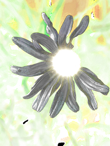  Abstract Daisy Sunbeam